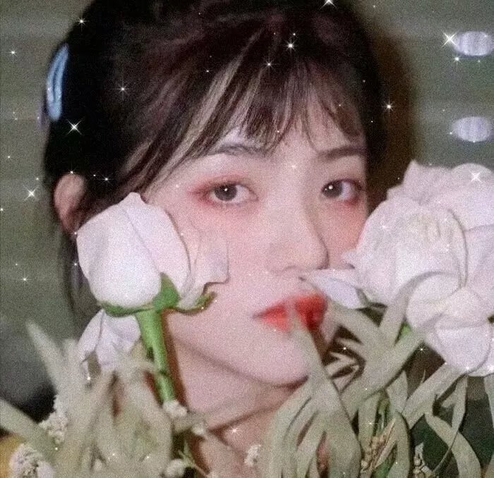 神秘森林